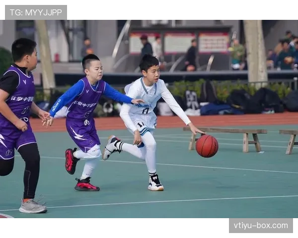 解读篮球合理冲撞区规则的具体判罚标准